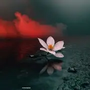 菱花碎 - AI音乐作品封面